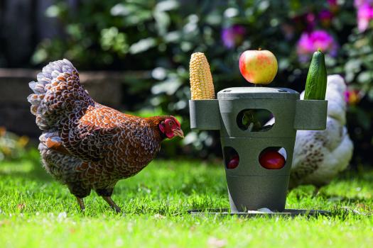 Futterspender Hühner - befüllbarer Snackturm für die selbständige Beschäftigung, aus 100% recyceltem Kunststoff